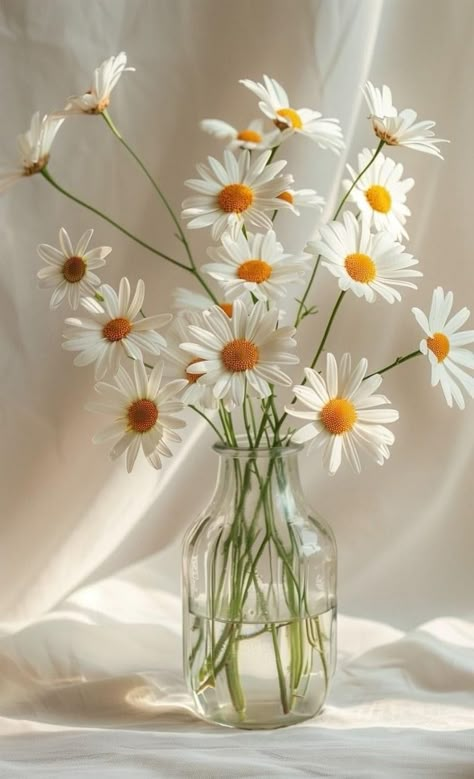 Book Vase, Daisy Daisy, Daisy Bouquet, 강아지 그림, White Daisies, Flower Background Wallpaper, Beautiful Bouquet Of Flowers, Month Flowers, Pretty Plants