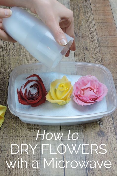 Diy Flower Press, How To Dry Flowers, Flower Drying, Pressed Flowers Diy, Dried Flowers Diy, Pressed Flower Crafts, Flower Press, Fleurs Diy, Resin Jewelry Diy