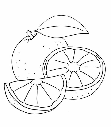 Oranges Coloring Page, Orange Outline Drawing, Orange Coloring Page, Orange Sketch, Orange Line Art, Noahs Ark Craft, Body Parts Preschool Activities, Orange Drawing, Pencil Drawing Pictures