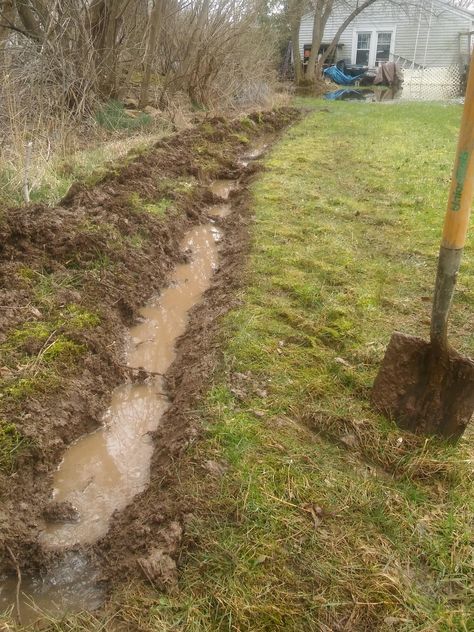 Drainage Ideas, French Drains, Landscape Drainage, Backyard Drainage, Drainage Ditch, Drainage Design, Yard Drainage, Dry Creek Bed, French Drain