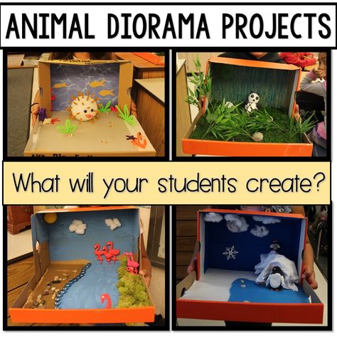 I was first introduced to the idea of creating Animal Dioramas when my son (who was a first grader at the time), brought home a shoebox an... Animal Habitats Kindergarten, Animal Diorama, Endangered Animals Project, Animal Research Project, Habitat Activities, Diorama Kids, Habitats Projects, Zoo Project, Animal Research