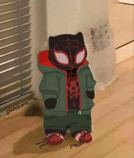 Miguel Fanart, Cat Spiderman, Pfp Spiderman, Spiderman Anime, Spiderman Meme, Spiderman And Spider Gwen, Lego Spiderman, Art Spiderman, Spiderman Spiderverse