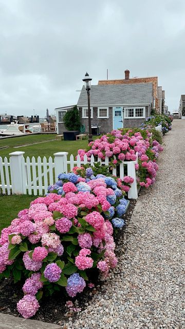 ALLISON ✿ on Instagram: "An easy way to affect the color or your hydrangea blooms 💗💜💙 Egg shells = pink & coffee grounds = blue! The magic is all in the pH of your soil 🪴 #gardening #hydrangeas #hydrangeaflowers #gardeninghacks" Hydrangea Driveway, Hydrangea Planting, Preppy Garden, Garden Planning Layout, Hydrangea Landscaping, Tattoo Plant, Creative Garden Decor, Home Backyard, Home Decor Cozy