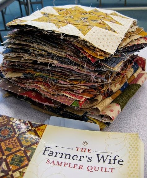 Farmer's Wife Quilt Revival Class 9 is now available...see my blog post here! Waistcoat Woman, Farmers Wife Quilt, Farmer Wife, Queen Size Quilt, Sampler Quilt, Book Quilt, Quilting Techniques, Quilting Tutorials, Sewing Inspiration