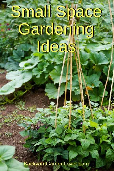 Small Space Gardening Ideas You Can Use Now Small Space Gardening Ideas, Tiny Backyard, Container Garden Design, Organic Vegetable Garden, Apartment Balcony, Organic Gardening Tips, Small Space Gardening, Apartment Garden, Organic Vegetables