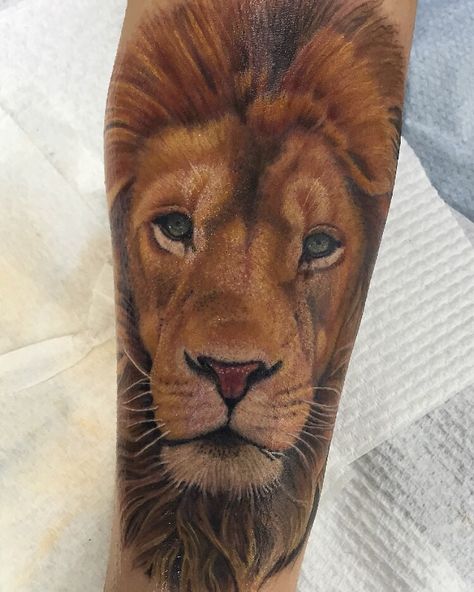 Fore arm Colour lion tattoo Done by Diego ️Mickey from SouthSide Custom Ink Tattoos , Melbourne Australia . All done with electric inks Roaring Lion Tattoo, Tattoo Patchwork, Tattoo Leggings, Friends Tattoo, Tattoo Tiny, Tattoos To Cover Scars, Mens Lion Tattoo, Knight Tattoo, Patchwork Tattoo