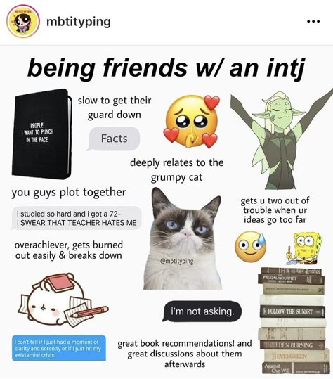 Intj T Personality, Mbti Comics, Accurate Personality Test, Bad Genius, Intj Humor, Mbti Intj, 16 Personality Types, Mbti Charts, Istp Personality