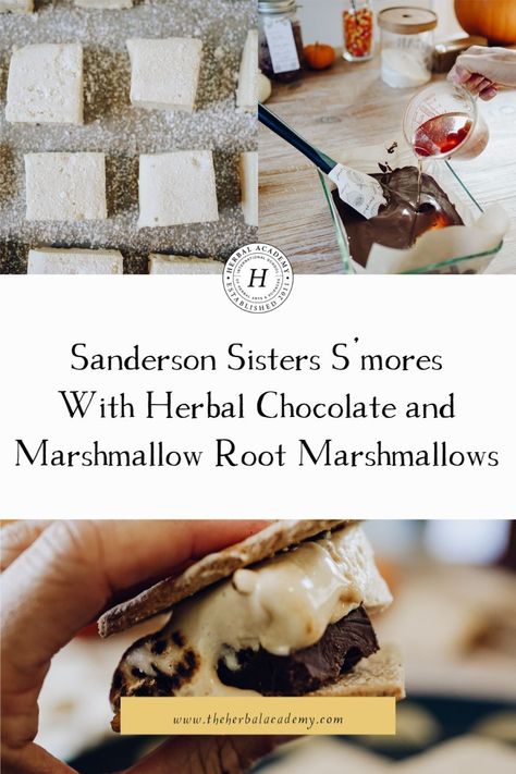 Sanderson Sisters S’mores With Herbal Chocolate and Marshmallow Root Marshmallows | Herbal Academy | Pair your tradition of watching Hocus Pocus with these easy-to-make Sanderson Sisters S’mores. The pillowy texture, sweet herbal flavors, and unique ingredients take s’mores to the next level! Herbal Chocolate, Healthy Marshmallows, Sticky Candy, Herbal Academy, Rose Flavored, Chocolate Bites, Recipes With Marshmallows, Marshmallow Root, Homemade Marshmallows