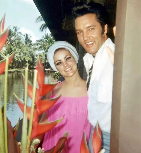 Young Priscilla Presley, Elvis And Me, Elvis Presley Pictures, Elvis And Priscilla, Elvis Presley Photos, Priscilla Presley, Lisa Marie Presley, Vintage Makeup, Got To Be