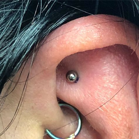 Shen Men Ear Piercing, Shen Men Piercing, Divine Gate, Acupuncture, Tattoos And Piercings, Earings Piercings, Ear Piercings, Piercings, Gate