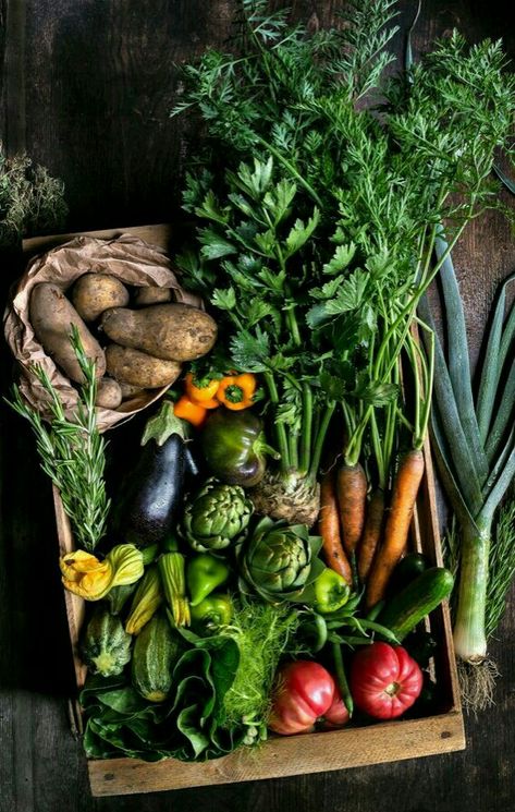 Vegetables Photography, Farm Lifestyle, Photo Food, Garden Photography, Food Photography Styling, Fruit And Veg, Veggie Garden, Farm Gardens, Kitchen Garden