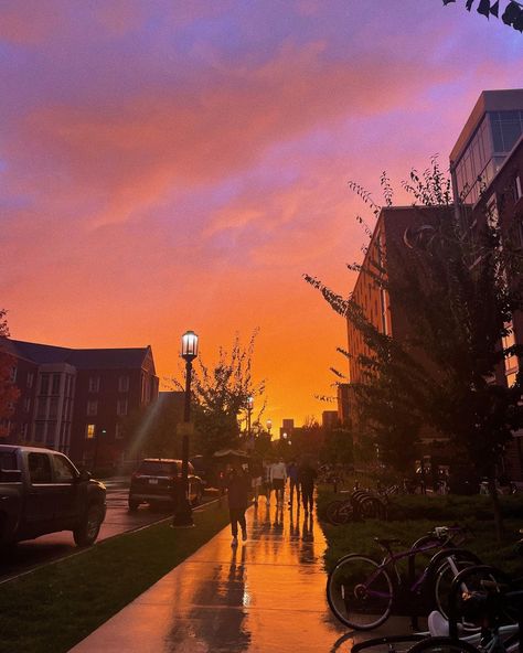 Purdue University Aesthetic, Romanticize College, Lo Aesthetic, Studying Goals, College Necessities, Purdue Boilermakers, Dream College, Purdue University, University Life