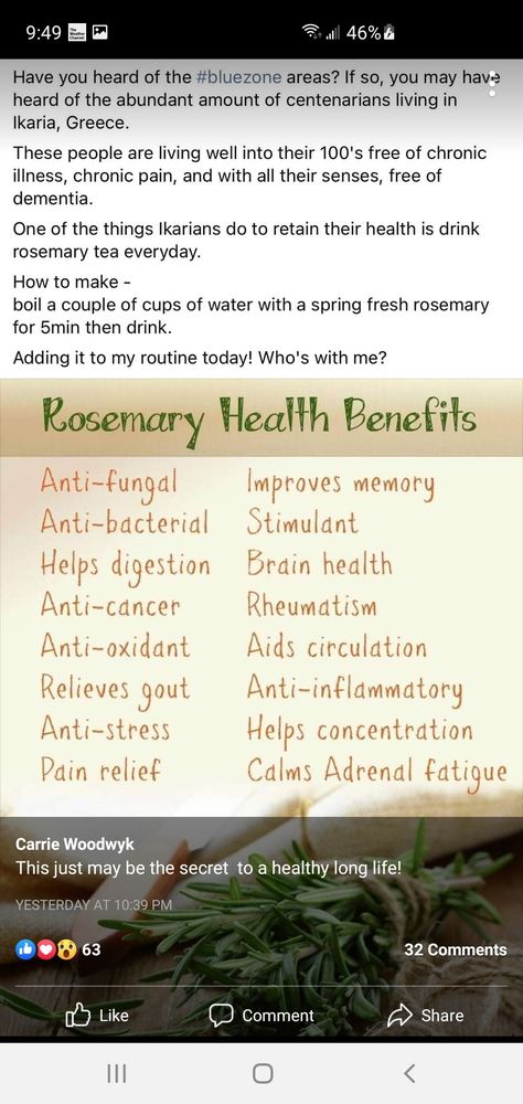 Herbs To Increase Appetite, Benefits Of Rosemary Tea, Rosemary Tea Benefits, Rosemary Health Benefits, Herbal Witch, Healthy Tea, Rosemary Tea, Natural Things, Essential Oil Diffuser Blends Recipes