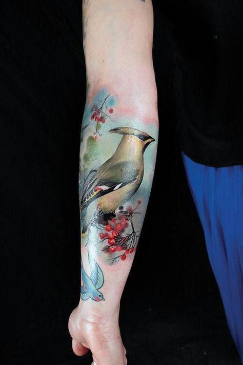 Cedar waxwing. Waxwing Tattoo, Cedar Waxwing, Poppies Tattoo, Bear Tattoo, Time Tattoos, Dream Tattoos, Color Ink, Birds Tattoo, Beauty Tattoos