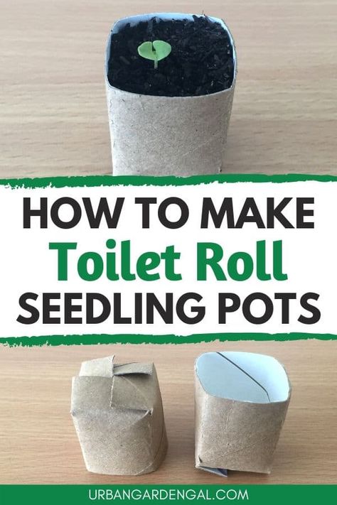 How To Make Toilet Roll Pots - Urban Garden Gal Toilet Roll Plant Pot, Toilet Paper Roll For Seedlings, Toilet Roll Planters, Starting Seeds In Toilet Paper Rolls, Toilet Paper Roll Planters, Paper Seedling Pots, Toilet Paper Roll Planter Seed Starting, Planting Seeds In Toilet Paper Rolls, Diy Seedling Pots