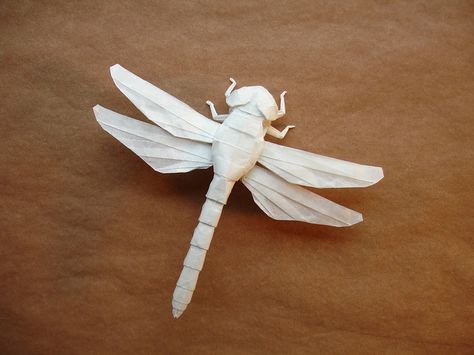 Origami Dragonfly, designed by Shuki Kato, via Flickr Dragonfly Origami, Origami Workshop, Origami Dragonfly, Paper Dragonflies, Origami Insects, Origami Garland, Origami Paper Folding, Origami Diagrams, Origami Artist