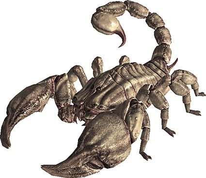 Radscorpion - Fallout monster Fallout Lore, Dnd Monster, Fallout Rpg, Fallout Fan Art, Fallout Concept Art, Fallout Game, Bing Bong, Fallout Art, Dnd Monsters