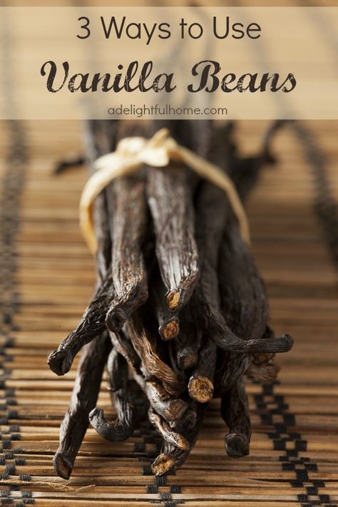 Vanilla beans are fun to use for a variety of projects. They are a wonderful addition to foods as well as natural body care products. Simply cut the vanilla beans open lengthwise and scrape out the seeds inside. The seeds can be used in all manner of baked goods, ice cream, and other delectable desserts. I was quite surprised the first time I saw a vanilla bean. I seemed so leathery and strange! I'm not sure what thoughts they'd would look like, but it wasn't that! Good quality vanilla beans won Easy Christmas Presents, Christmas Presents To Make, Homemade Vanilla Extract, Baking Basics, Vanilla Beans, Homemade Spices, Homemade Vanilla, Diy Tips, How To Make Homemade