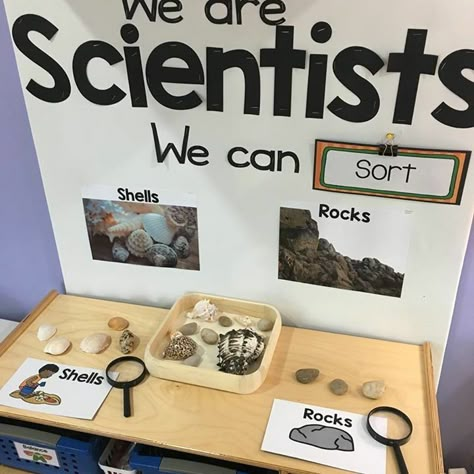 Science Center Preschool, Pre-k Science, Science Area, We Are Scientists, Montessori Science, Eyfs Classroom, Preschool Science Activities, Prek Classroom, Preschool Centers