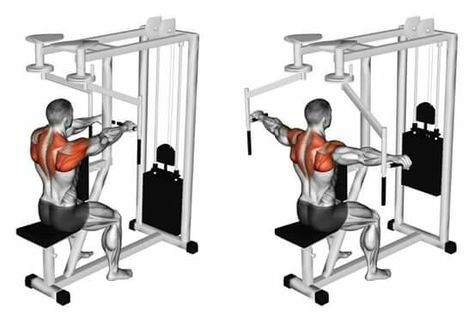 Reverse Butterfly(?) Rear Delt Exercises, Push Day Workout, Deltoid Workout, Upper Back Exercises, Free Workout Plans, Shoulder Training, Push Workout, Rear Delt, Tricep Dips