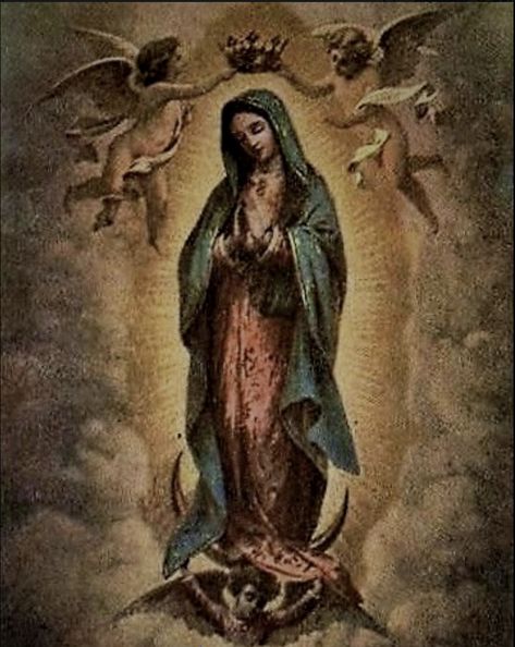 Our Lady Of Guadalupe Vintage, Virgin Mary Guadalupe, Mexican Catholic Art, Mary Guadalupe, Sacred Heart Art, Virgin Mary Art, Mexican Culture Art, Catholic Pictures, Blessed Mary