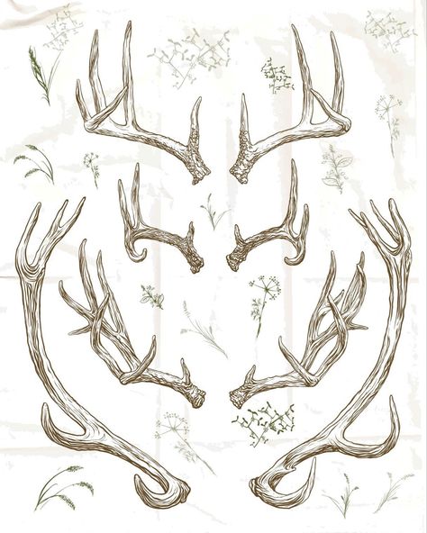 Deer Antler Drawing, Deer Antler Tattoo, Antler Drawing, Antlers Drawing, Antler Tattoo, Hirsch Silhouette, Skull Reference, Deer Drawing, Deer Horns