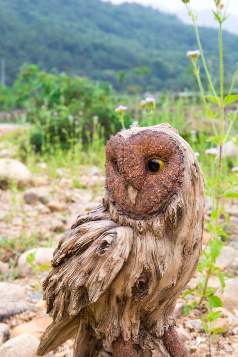 Owl Statue Sculpture, Stump Garden, Owl Statue, Chevron Furniture, Bird Bath Fountain, Bear Statue, Fairy Statues, Ceramic Art Sculpture, Gnome Statues