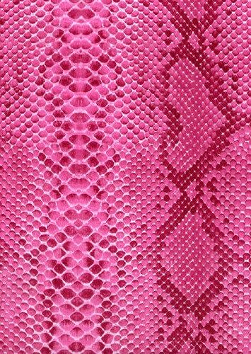 Chic Wallpaper, Iphone Lockscreen Wallpaper, Pink Snake, Animal Print Wallpaper, Cool Backgrounds Wallpapers, Collage Background, Print Wallpaper, Decoupage Paper, Fall Collection