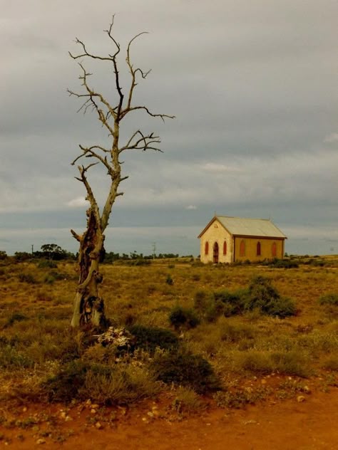 Australian outback Not sure where this is but looks pretty cool! Johnny Sawyer, Summer Slasher, Australia Landscape, Book Vibes, Farm Landscape, Ethel Cain, Australian Outback, Outback Australia, Australian Bush