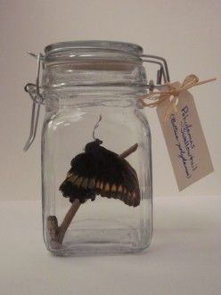 How to Make a Butterfly Jar By Rhosynwen Preserving Butterflies, Diy Realistic Butterfly, Butterfly In Jar, Butterfly Jar, Jar With Butterflies Drawing, Butterfly Taxidermy, Memory Jar, Butterfly Artwork, Pretty Pens