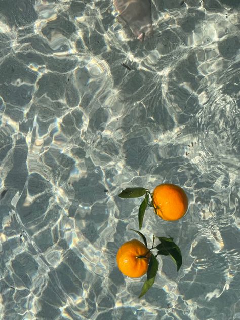 Cursed Food, Ocean Tropical, Bizarre Foods, Aesthetic Ocean, Fruit Summer, Water Aesthetic, Orange Aesthetic, Italian Summer, Summer Feeling