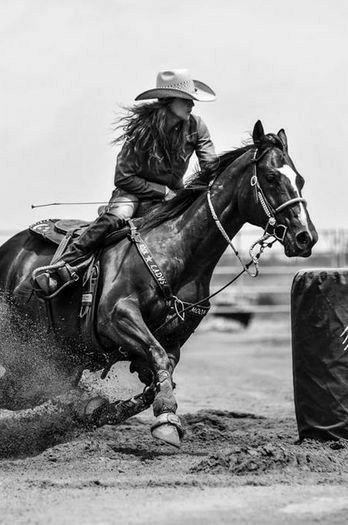 Barrel Racing Aesthetic, Barrel Racing Photos, Western Horse Riding, Foto Cowgirl, Pictures With Horses, Western Photography, Barrel Racing Horses, Rodeo Horses, Barrel Horse