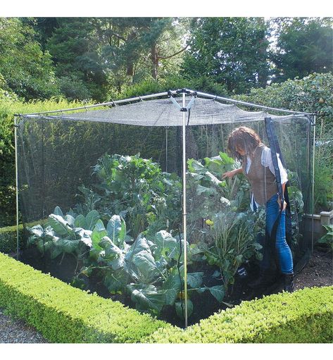 Walk-In Garden Cage - Lee Valley Tools Walk In Garden Cage, Garden Cage, Garden Protection, Greenhouse Farming, Fruit Cage, Edible Gardens, Fruit Bushes, Outdoor Trellis, Vegetable Farming