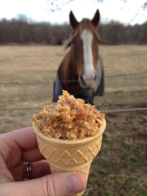 Horse Birthday Treats, Diy Horse Treats, Horse Snacks, Camp Treats, Homemade Horse Treats, Treat Cones, Horse Food, Diy Horse, Horse Info