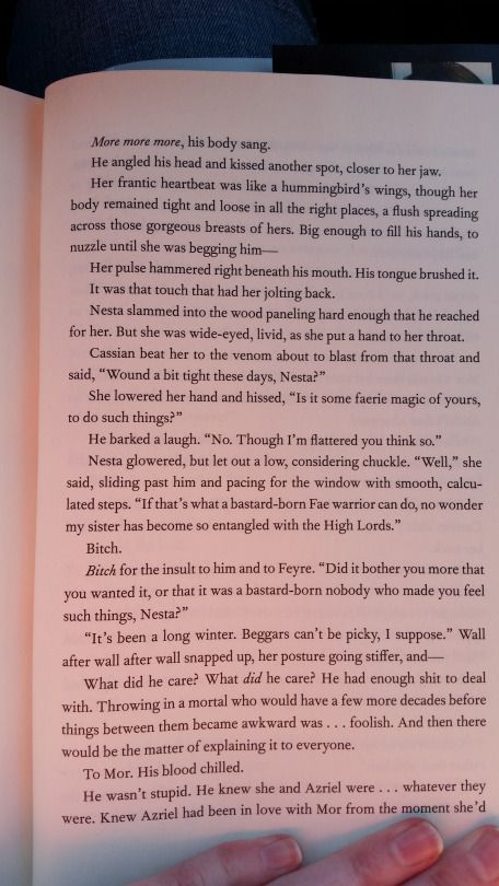 Part 11 of the bonus scene with Nesta and Cassian Nesta Cassian, Cassian And Nesta, Feyre And Rhysand, Chapter 55, Empire Of Storms, A Court Of Wings And Ruin, Sarah J Maas Books, Night Court, A Court Of Mist And Fury