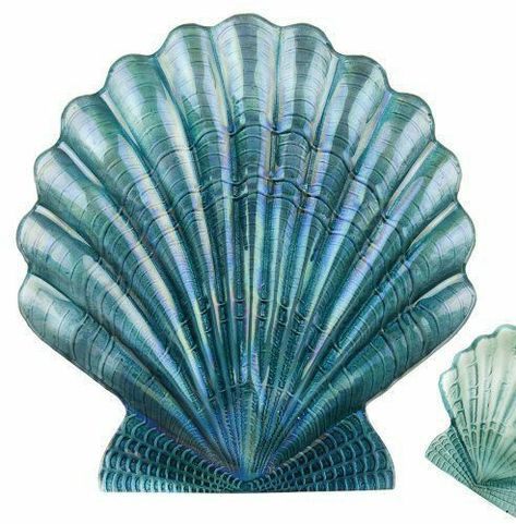 Seashell Drawing, Shell Drawing, Lost Ocean, Cottage By The Sea, Scallop Shell, Scallop Shells, 로고 디자인, Serving Platter, Beach Art