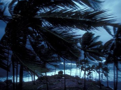 Photo: Monsoon winds in Trivandrum, India Mohenjo Daro, The Volunteers, Magic Island, Earth Atmosphere, Weather Photos, Winter Mornings, Summer Rain, Save The Planet, Hotels And Resorts