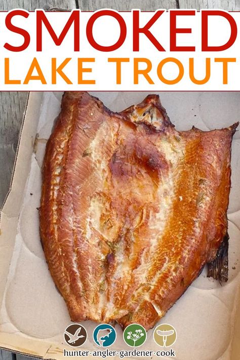 Lake trout, mackinaw, lakers or, for those inclined toward Latin, Salvelinus namaycush, are perhaps the most unloved of the trout family. They’re the only member of this exalted clan routinely denigrated as food. Almost all the complaints take some form of the whiny refrain: “Ew, too greasy!” | @huntgathercook #hankshaw #smokedtrout #laketroutrecipes #recipesforlent #lentrecipes #troutrecipes #besttroutrecipes Smoked Lake Trout Recipe, Smokers Recipes, Lake Trout Recipes, Carrot And Parsnip Recipe, Smoked Trout Recipe, Wild Caught Fish Recipes, Smoked Fish Recipe, Bbq Foods, Trout Recipe