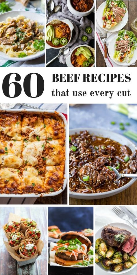 Looking for a roast recipe? How about a unique recipe for ground beef? Or short ribs? This post has over 60 recipes for every cut of beef, so you can make a great meal any day of the week! French Onion Beef Stew, Diced Beef Recipes, Beef Tips And Rice, Indian Beef Recipes, Slow Cooker Korean Beef, Cube Steak Recipes, Healthy Beef Recipes, Ground Beef And Potatoes, Roast Beef Recipes