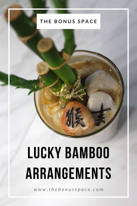 These simple and easy-to-make DIY lucky bamboo arrangements are the perfect gift for friends and family to help bring them some good luck in the new year! You can also direct a little good fortune and feng shui your way by creating a lucky bamboo for yourself! Check out the link below for the full tutorial! #bonusspace #luckybamboo #goodluck #goodfortune #fengshui #fengshuitips #diy #diycrafts #lowmaintenanceplants #lowlightplants #houseplants #lunarnewyear #lunarnewyear2021 #bamboo Bamboo Plant Decor Ideas, Lucky Bamboo Arrangements, Bamboo Arrangement Ideas, Tall Bamboo Plant Indoor, Lucky Bamboo Decor, Bamboo Plant Indoor, Bamboo Plant Decor, Indoor Bamboo Plant, Indoor Bamboo