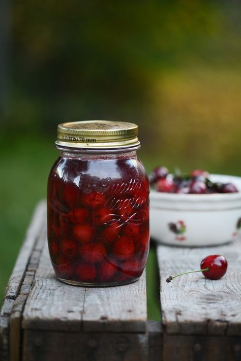 Preserved cherries in syrup Sour Cherry Recipes, Healthy Protein Shakes, Cherry Pitter, Cherry Preserves, Sour Cherries, Easy Mashed Potatoes, Best Christmas Desserts, Cherry Sauce, Cherry Season