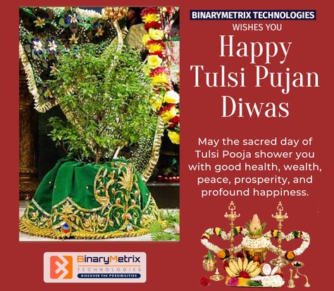 BinaryMetrix Technologies wishes you and your family a very Happy tulsi pooja diwas! Tulsi Pooja Divas, Happy Tulsi Pujan Diwas, Tulsi Puja Wishes, Happy Tulsi Pooja Wishes, Tulsi Pooja, Tulsi Vivah, Good Morning Clips, Tulsi Plant, Ram Image