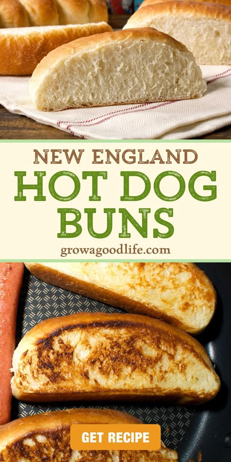 Subway Buns Recipe, New England Hot Dog Buns Recipe, Hot Dog Bun Recipe, Toasted Hot Dog Buns, Tuna Salad Sandwiches, Homemade Hot Dog Buns, Hot Dog Buns Recipe, Homestead Cooking, Italian Sandwiches