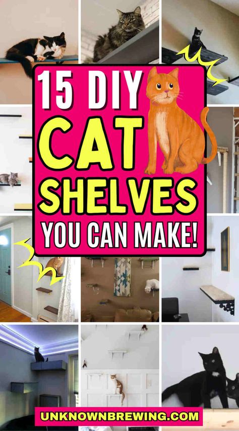 15 Fun DIY Cat Shelf Ideas for Your Feline Friends Apartment Cat Ideas Diy, Diy Cat Shelf, Diy Cat Shelves, Build Shelves, Floating Cat Shelves, Cat Tree Plans, Cat Climbing Wall, Cat Shelf, Cat Patio