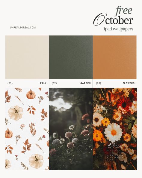 🍁 Ready to give your iPad some cozy fall vibes? 🎃 Swipe through to check out these free October wallpapers! Whether you’re into pumpkins, leaves, or just love those warm autumn colors, we’ve got the perfect design for your home screen and lock screen. 🍂✨ Want one? Link in bio or comment “fall” and I will DM you the link 🎨💻 #freewallpaper #ipadwallpaper #fallvibes #october #cozyvibes October Wallpapers, October Wallpaper, Cozy Fall Vibes, Warm Autumn, Autumn Colors, Free Wallpaper, Ipad Wallpaper, Cozy Fall, Lock Screen