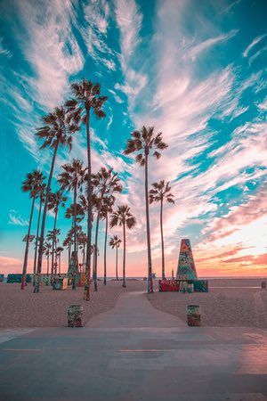 For this photo, the colours of the famous graffiti palm trees in Venice Beach compliment the colours created in the sky from the sunset. Make sure you move around and take shots from different angles and locations. This way you are done shooting you have a variety of photos and not just the same shots from a single spot. And don’t leave too early! Sometimes after the sun has fully set the sky lights up with amazing colours. The last thing you want is watch the sky light up while you are drivi... California Dreamin', Photo Wall Collage, California Dreaming, Alam Yang Indah, Summer Photos, Venice Beach, Summer Travel, Beautiful Sunset, Beach Life