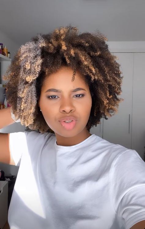 Highlighted 4c Natural Hair, Highlights Black Women Natural Hair, 4c Highlights Natural Hair, 4c Highlights, Highlights On 4c Hair, Chocolate Hair With Caramel Highlights, Hair Tint Colours, Short Fluffy Hair, Balayage Inspiration