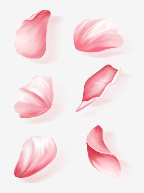 Flower Petals Falling Drawing, How To Draw Petals, Rose Petal Drawing, Flower Petal Drawing, Flower Petals Drawing, Rose Petal Tattoo, Rose Petals Tattoo, Rose Petals Drawing, Petals Drawing