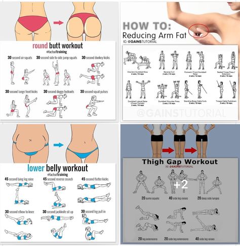 Squat Target Areas, Arm Workout Target Areas, Workout Target Areas, Pulse Squats, Lower Belly Workout, Donkey Kicks, Arm Fat, Lower Belly, Workout Plan Gym