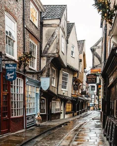 The Shambles, Dublin Pubs, Ireland Aesthetic, York England, European Street, Vintage Paris, Intp, Intj, England Travel